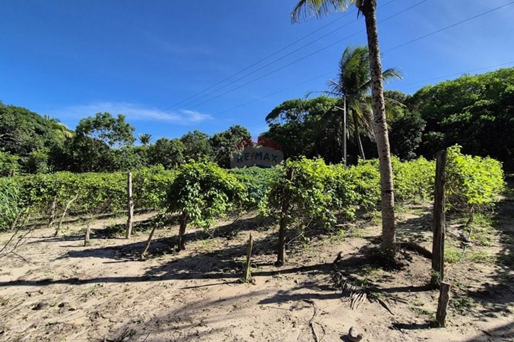 Chácara / Sítio / Fazenda - Venda - Mamanguape , Paraíba - 20250207_150109.jpg - 722011055-45