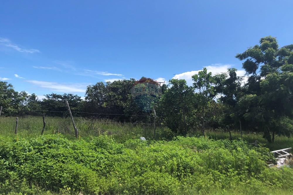 Terreno - Venda - Cruz , Ceará - IMG_0589.jpeg - 722341001-199