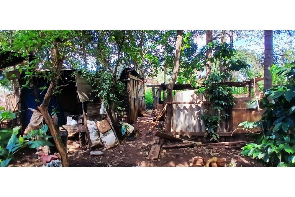 Chácara / Sítio / Fazenda - Venda - Rondonópolis , Mato Grosso - WhatsApp Image 2026-01-13 at 16.45.18.jpeg - 720851145-19