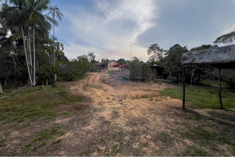 Chácara / Sítio / Fazenda - Venda - Porto Velho , Rondônia - IMG_3122.jpg - 721551059-6