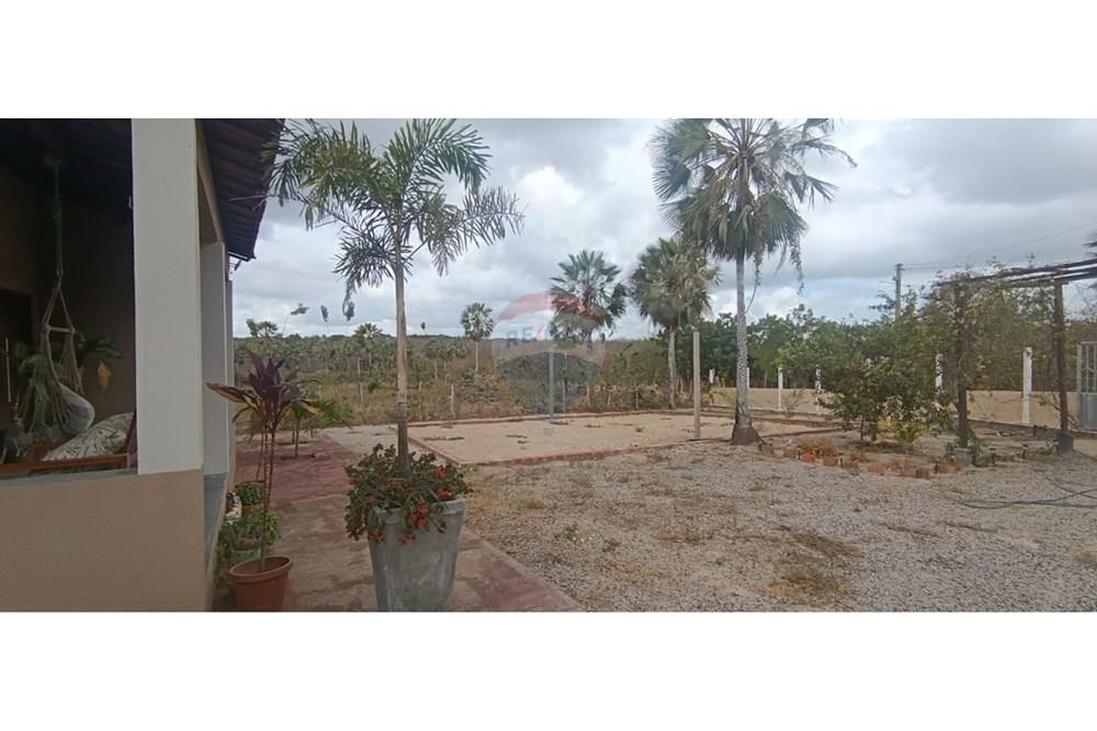 Chácara / Sítio / Fazenda - Venda - Trairi , Ceará - WhatsApp Image 2025-12-11 at 14.24.37 (1).jpeg - 722341005-17