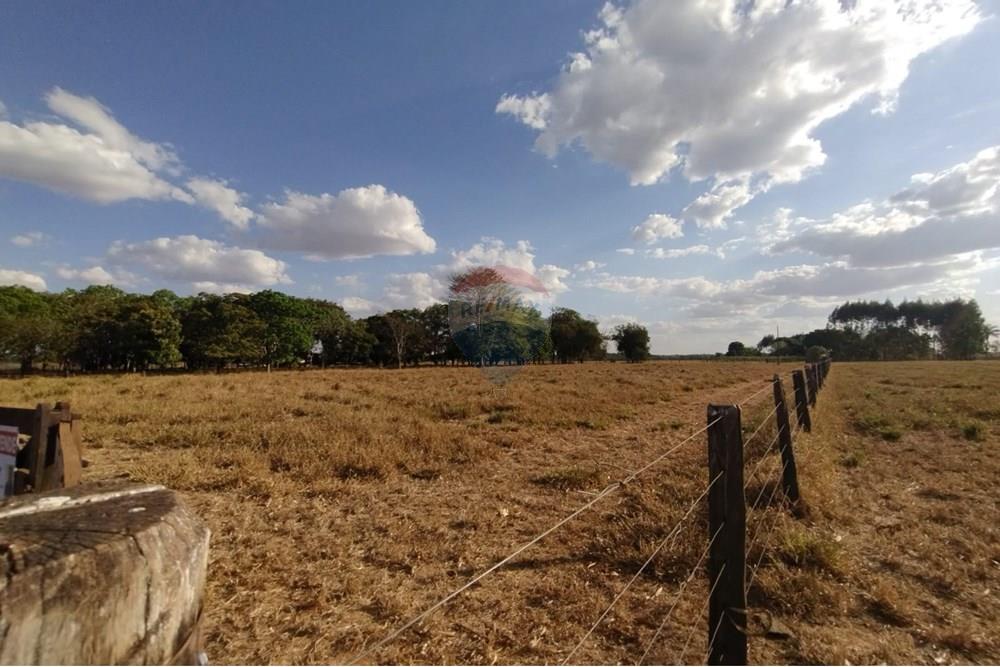 Residencial - Granja - Sinop , Mato Grosso - BR - WhatsApp Image 2025-08-07 at 14.46.12 (1).jpeg - 721561039-35