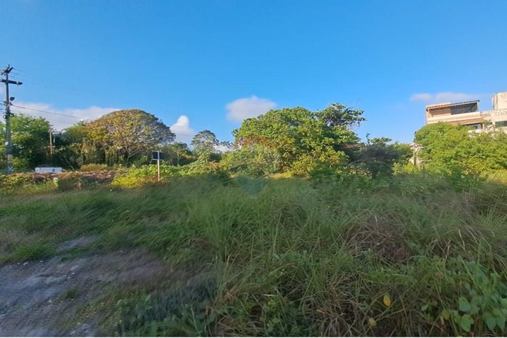 Terreno - Venda - Conde , Paraíba - 3048b788-3989-4c79-b384-cdccdc6476c2.jpeg - 720471098-3