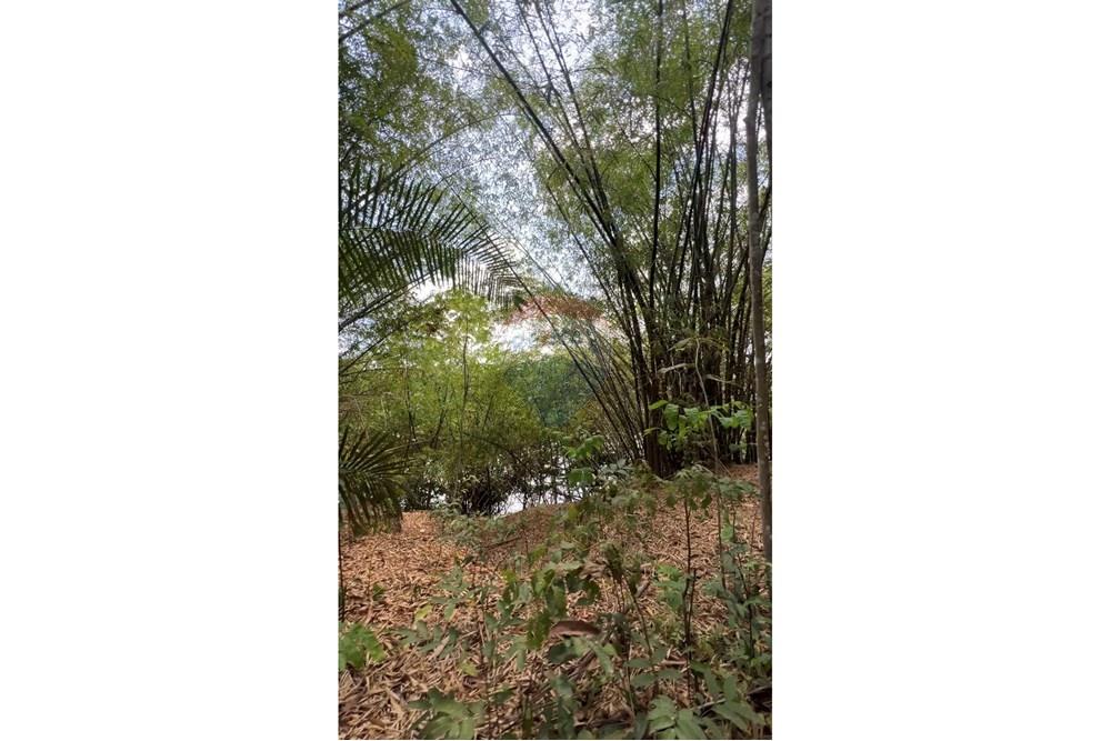 Fazenda - Venda - Rosário , Maranhão - IMG_0656.jpg - 722281002-38