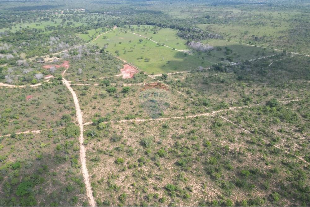 Fazenda - Venda - Araguaína , Tocantins - WhatsApp Image 2025-12-13 at 19.32.31 (1).jpeg - 720991010-81