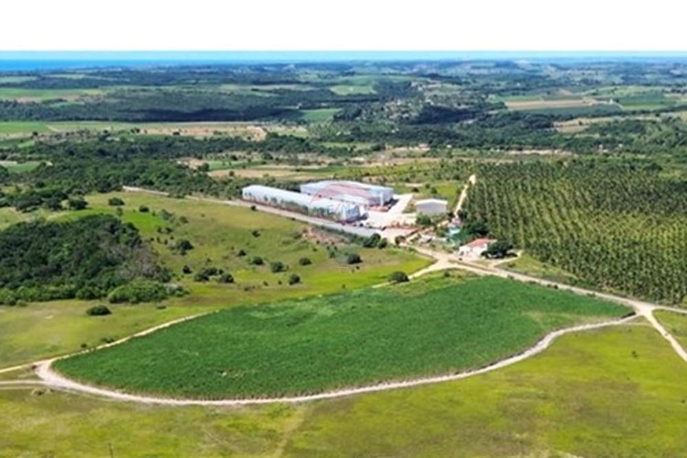 Galpão - Alugar - Conde , Paraíba - WhatsApp Image 2025-05-30 at 08.34.30.jpeg - 720871050-19