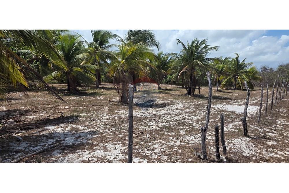 Terreno - Venda - Acaraú , Ceará - 1000304720.jpg - 722341001-114