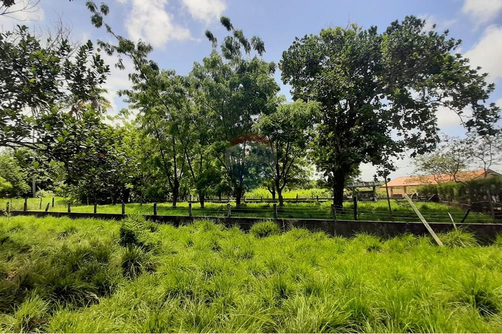 Chácara / Sítio / Fazenda - Venda - Conde , Paraíba - 20211021_113442.jpg - 722011055-33