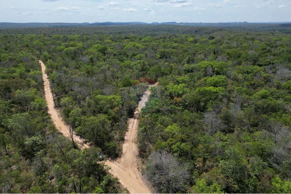 Agro - Venda - Carolina , Maranhão - WhatsApp Image 2025-08-28 at 17.45.08.jpeg - 720991010-76