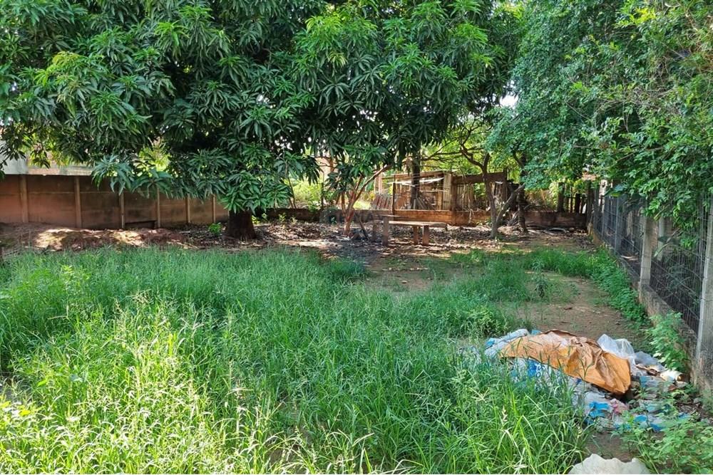 Casa - Alugar - Confresa , Mato Grosso - IMG-20251204-WA0103.jpg - 720641046-16