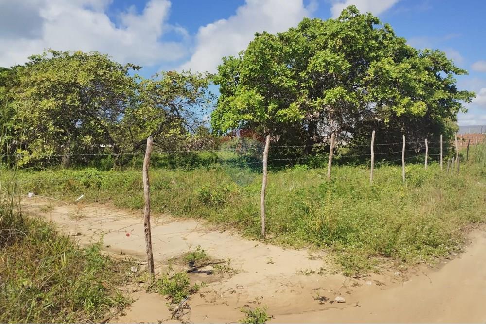 Terreno - Venda - Conde , Paraíba - 63950be5-f12c-415e-bae1-ef31c82eb005.jpg - 720871056-7