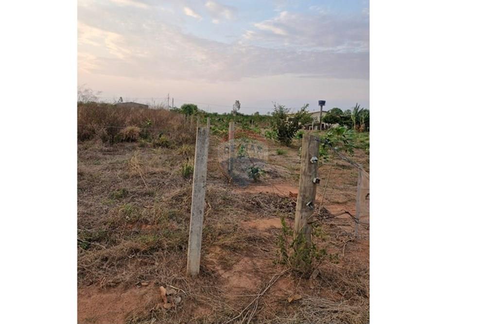 Chácara / Sítio / Fazenda - Venda - Rondonópolis , Mato Grosso - IMG-20251027-WA0027.jpg - 721981068-20