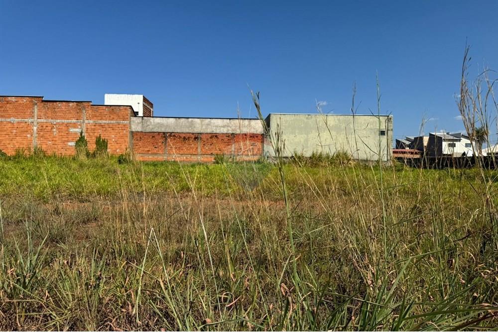 Terreno - Venda - Araguaína , Tocantins - WhatsApp Image 2024-08-22 at 17.40.41 (1).jpeg - 720991002-163