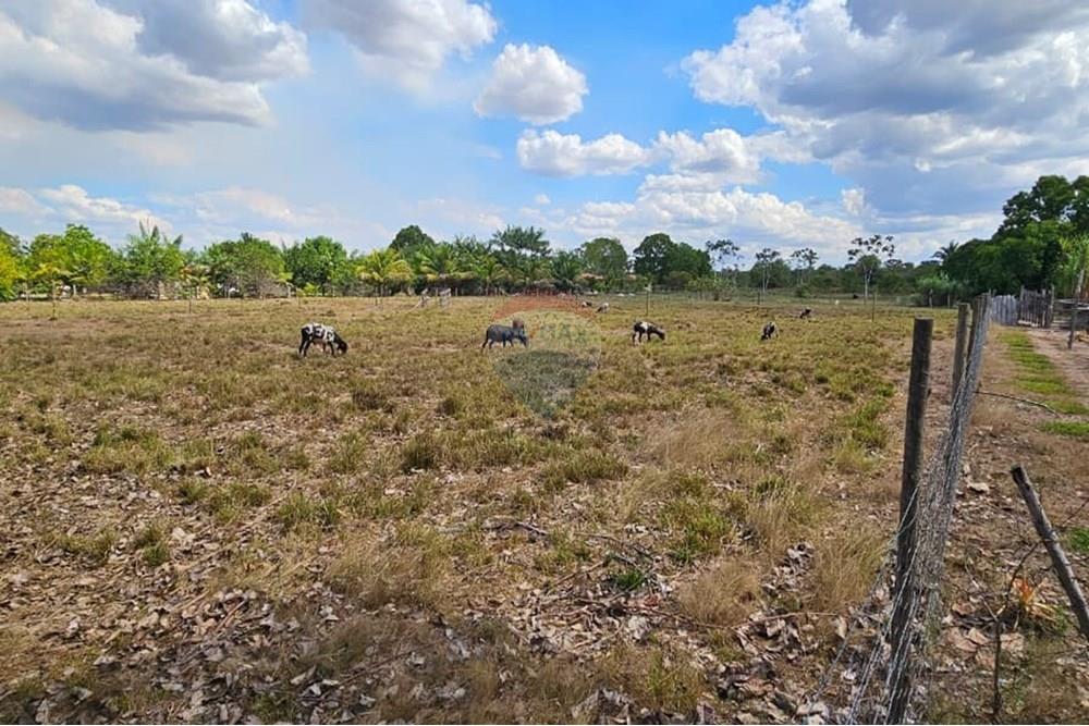 Chácara / Sítio / Fazenda - Venda - Araguaína , Tocantins - WhatsApp Image 2025-08-07 at 15.18.55 (3).jpeg - 722171030-16