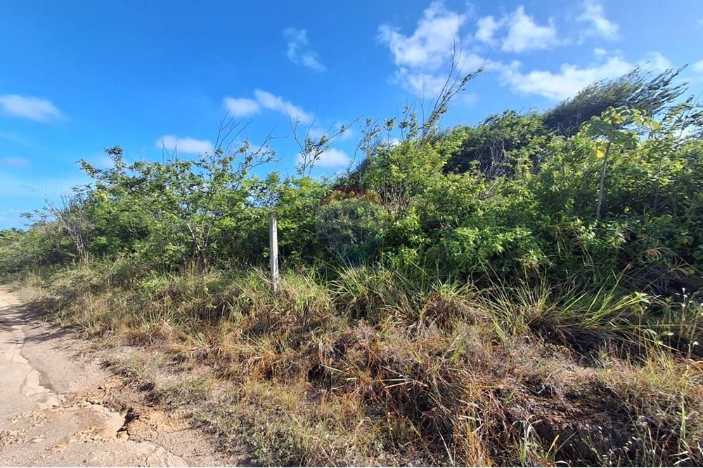 Terreno - Venda - Pitimbu , Paraíba - e9bbce58-6be5-4d17-8659-57705ac5a175.jpeg - 720871044-79