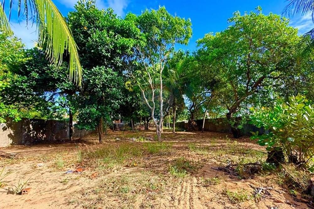 Terreno - Venda - Natal , Rio Grande do Norte - WhatsApp Image 2025-12-04 at 15.27.33 (3).jpeg - 720731001-2488