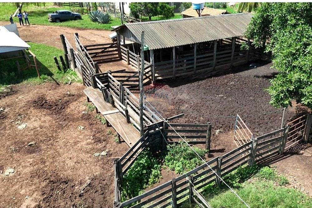 Chácara / Sítio / Fazenda - Venda - Juscimeira , Mato Grosso - WhatsApp Image 2026-02-05 at 08.29.40.jpeg - 722201031-2