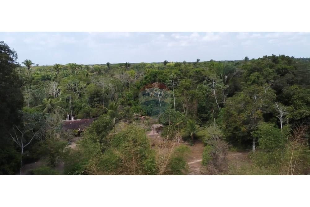 Fazenda - Venda - Rosário , Maranhão - IMG_0640.jpg - 722281002-38