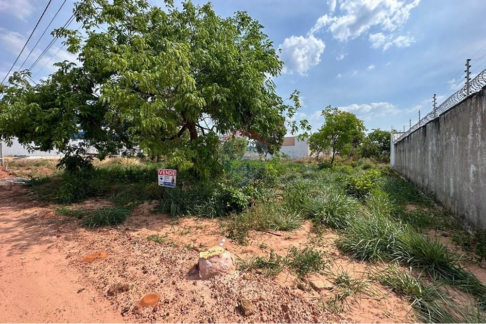 Terreno - Venda - Araguaína , Tocantins - WhatsApp Image 2025-10-29 at 16.47.28 (3).jpeg - 720991005-88