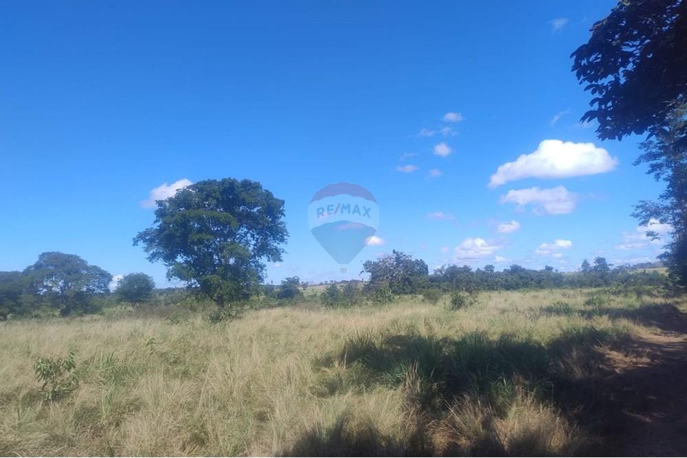 Chácara / Sítio / Fazenda - Venda - Confresa , Mato Grosso - IMG-20250926-WA0049.jpg - 720641046-10