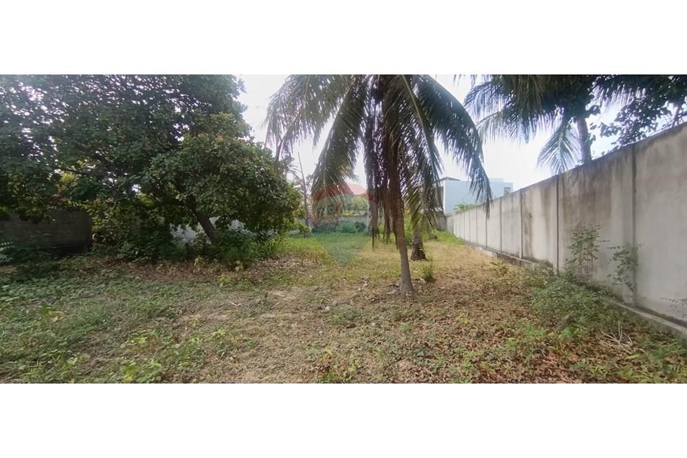 Terreno - Venda - Trairi , Ceará - WhatsApp Image 2025-12-16 at 13.46.40 (2).jpeg - 722341005-16