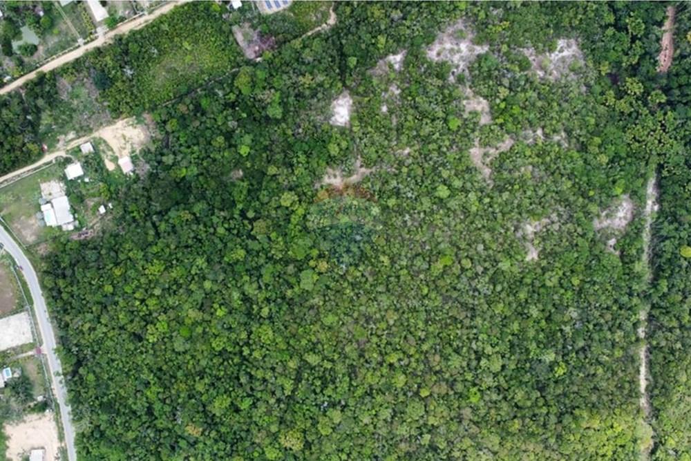 Terreno - Venda - Manaus , Amazonas - IMG-20251021-WA0179.jpg - 720721007-235