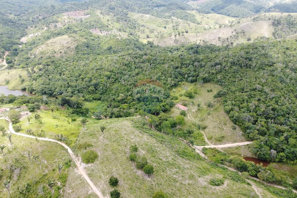 Chácara / Sítio / Fazenda - Venda - Areia , Paraíba - DJI_0432.JPG - 722011055-52