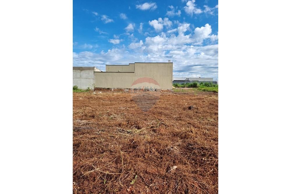 Terreno - Venda - Confresa , Mato Grosso - WhatsApp Image 2026-01-27 at 10.43.34 (1).jpeg - 720641046-17