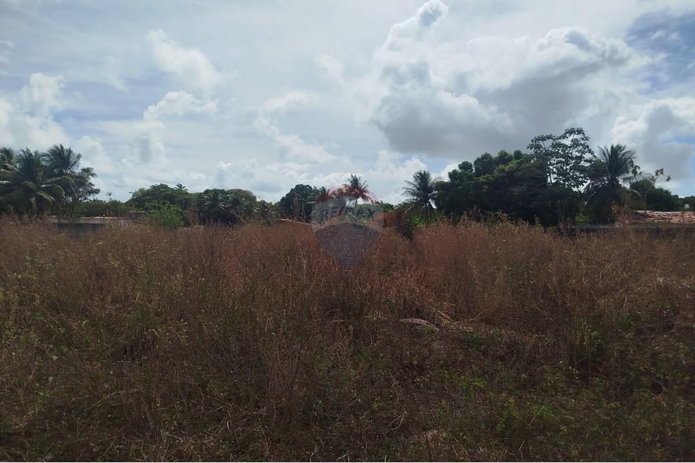 Terreno - Venda - Nísia Floresta , Rio Grande do Norte - WhatsApp Image 2024-11-22 at 21.32.42 (2).jpeg - 720891013-275