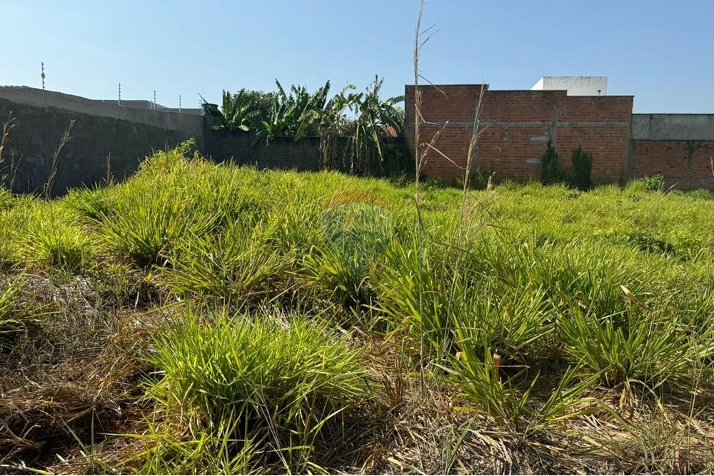 Terreno - Venda - Araguaína , Tocantins - WhatsApp Image 2024-08-22 at 17.40.38 (1).jpeg - 720991002-163