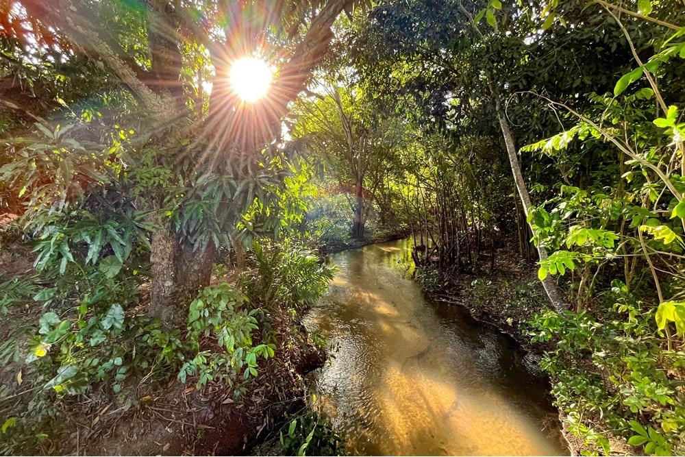 Terreno - Venda - Parnamirim , Rio Grande do Norte - IMG_5068.jpg - 720811066-3
