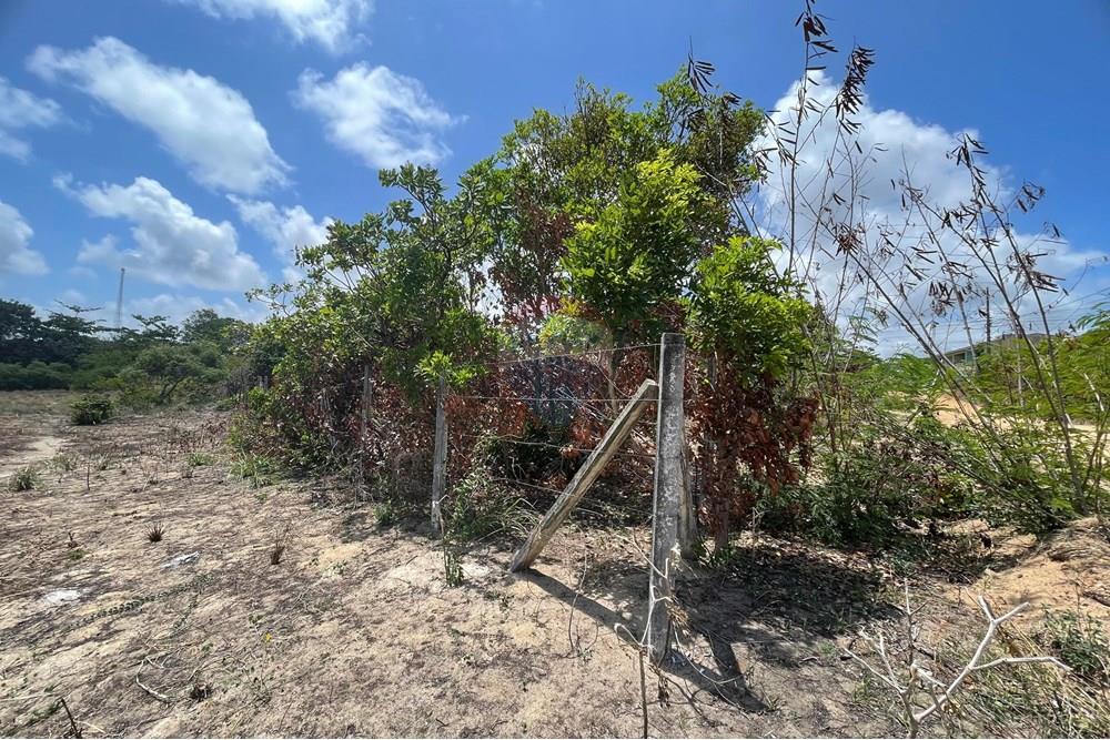 Terreno - Venda - Conde , Paraíba - WhatsApp Image 2025-01-02 at 15.01.08 (1).jpeg - 720871004-173