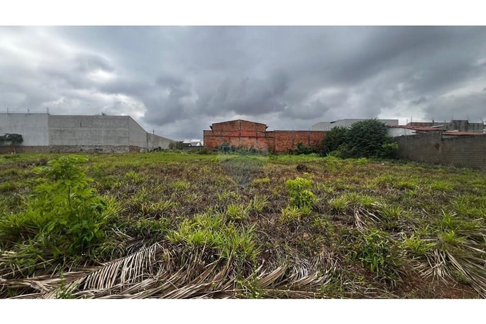 Terreno - Venda - Araguaína , Tocantins - WhatsApp Image 2025-11-17 at 15.29.52.jpeg - 720991032-40