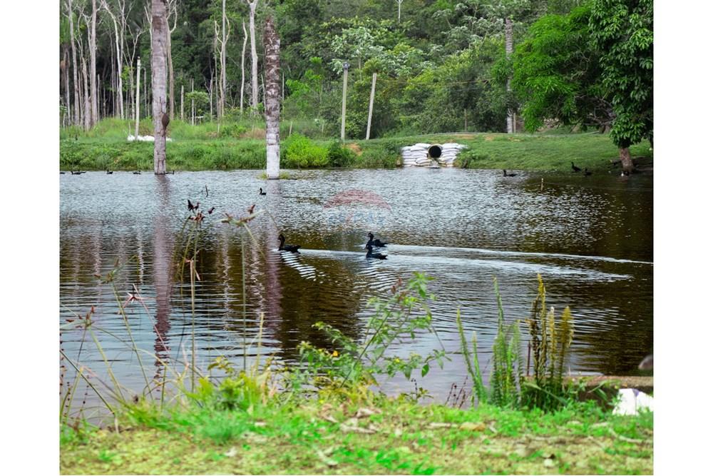 Woningbouw - Boerderij - Novo Airão , Amazonas - BR - IMG_7372.jpg - 720721055-29