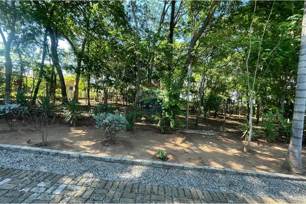 Chácara / Sítio / Fazenda - Venda - Nova Veneza , Goiás - WhatsApp Image 2025-11-18 at 07.24.52 (1).jpeg - 722271015-32