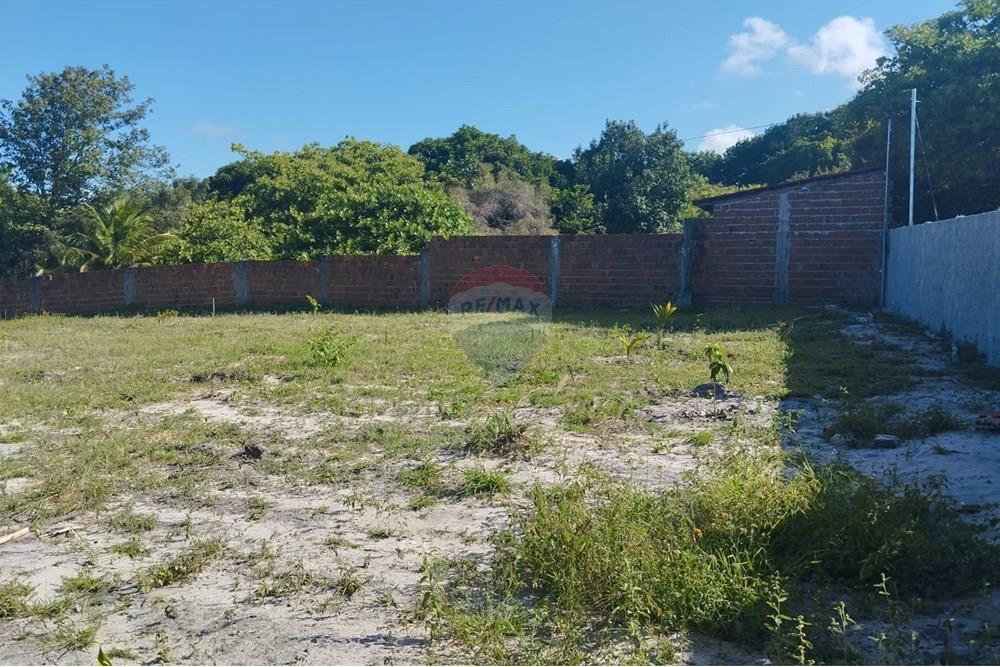 Chácara / Sítio / Fazenda - Venda - Conde , Paraíba - 5b0470b7-7845-49fb-bc53-cf5490a757c5.jpg - 720871015-134