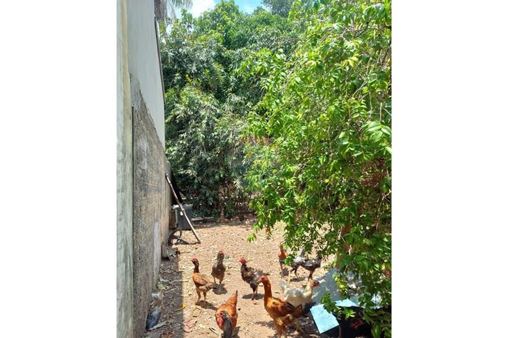 Casa - Venda - Barra do Garças , Mato Grosso - WhatsApp Image 2025-11-03 at 12.50.00.jpeg - 722221009-58