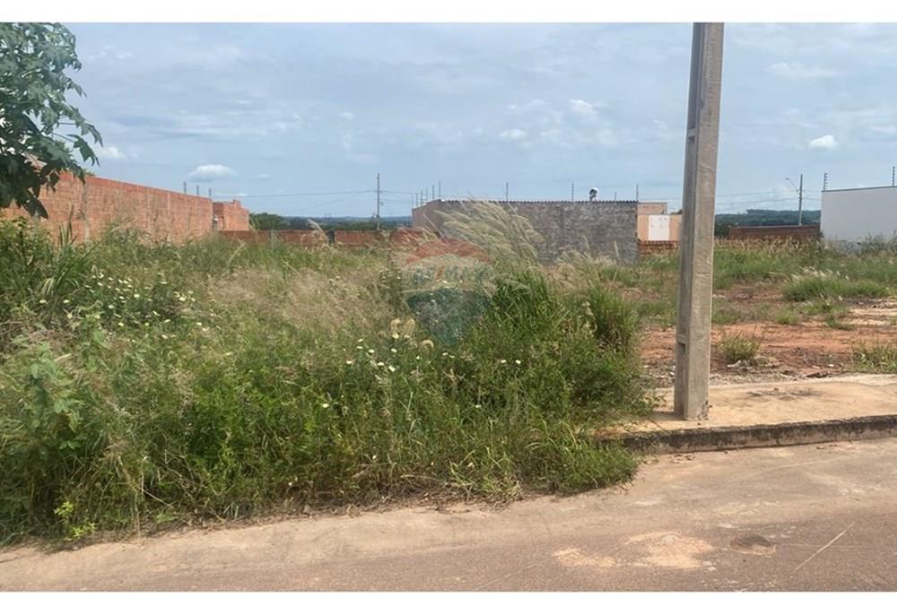 Terreno - Venda - Rondonópolis , Mato Grosso - JANICE TERRENO.jpeg - 721981070-14