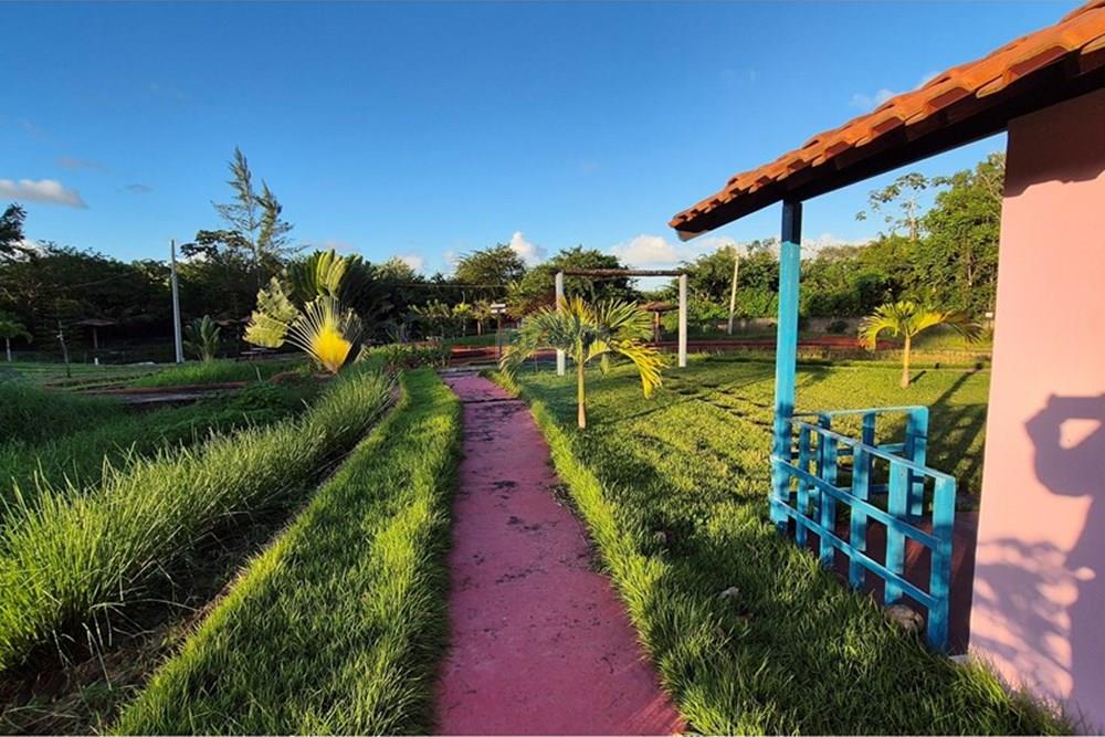 Chácara / Sítio / Fazenda - Venda - Alhandra , Paraíba - 20250724_164050.jpg - 722011055-42