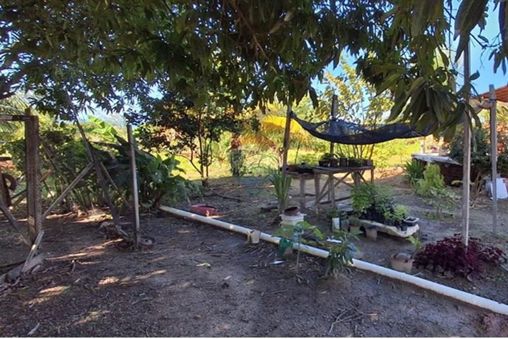 Terreno - Venda - Pitimbu , Paraíba - 4bee8016-5188-490e-ab7d-4ef67a555e54 (1).jpeg - 720871044-85