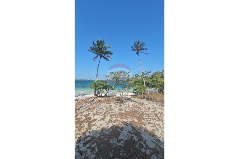 Terreno - Venda - Jijoca de Jericoacoara , Ceará - 20240923_142057.jpg - 722341001-43