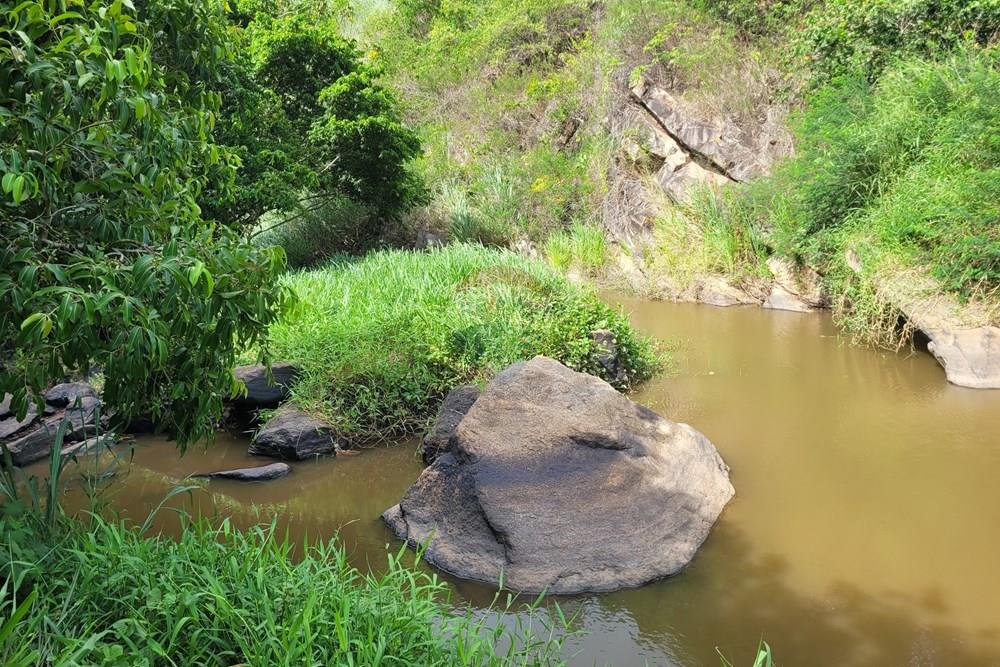 Chácara / Sítio / Fazenda - Venda - Areia , Paraíba - 20230206_143013.jpg - 722011055-52