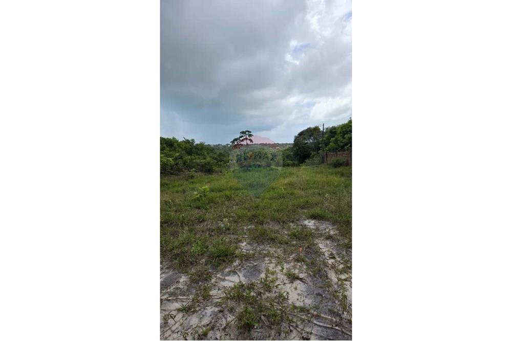 Chácara / Sítio / Fazenda - Venda - Conde , Paraíba - de0e43b3-e8ef-4ff8-8dd6-1eb8ff1b6ea3.jpg - 720871015-134