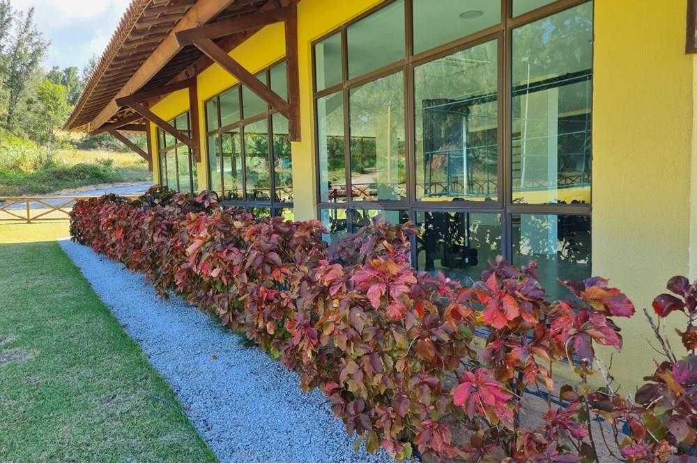 Terreno - Venda - Caucaia , Ceará - WhatsApp Image 2025-08-05 at 17.27.01.jpeg - 721621033-61