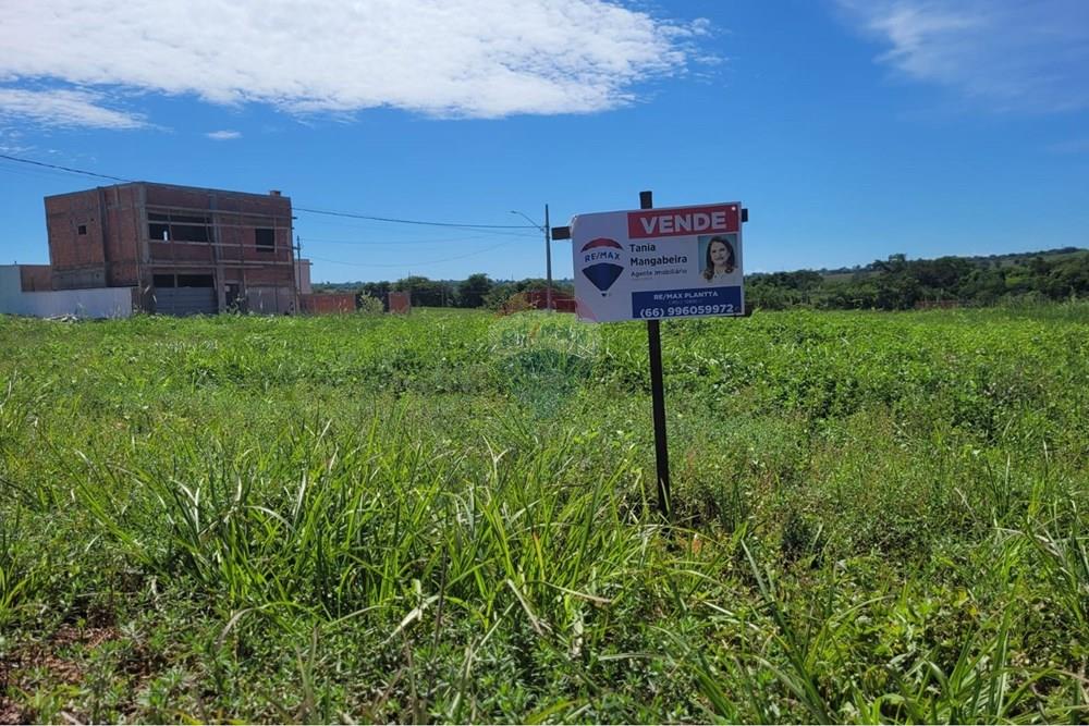 Terreno - Venda - Rondonópolis , Mato Grosso - WhatsApp Image 2026-01-31 at 20.45.48 (1).jpeg - 720771042-57