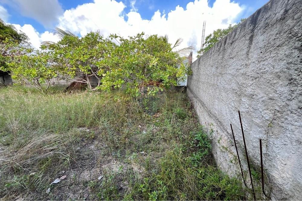 Terreno - Venda - Conde , Paraíba - WhatsApp Image 2026-02-20 at 15.54.17.jpeg - 720871047-20