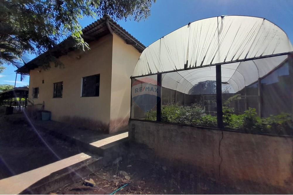 Chácara / Sítio / Fazenda - Venda - Nova Veneza , Goiás - WhatsApp Image 2025-11-18 at 15.51.51.jpeg - 722271015-32