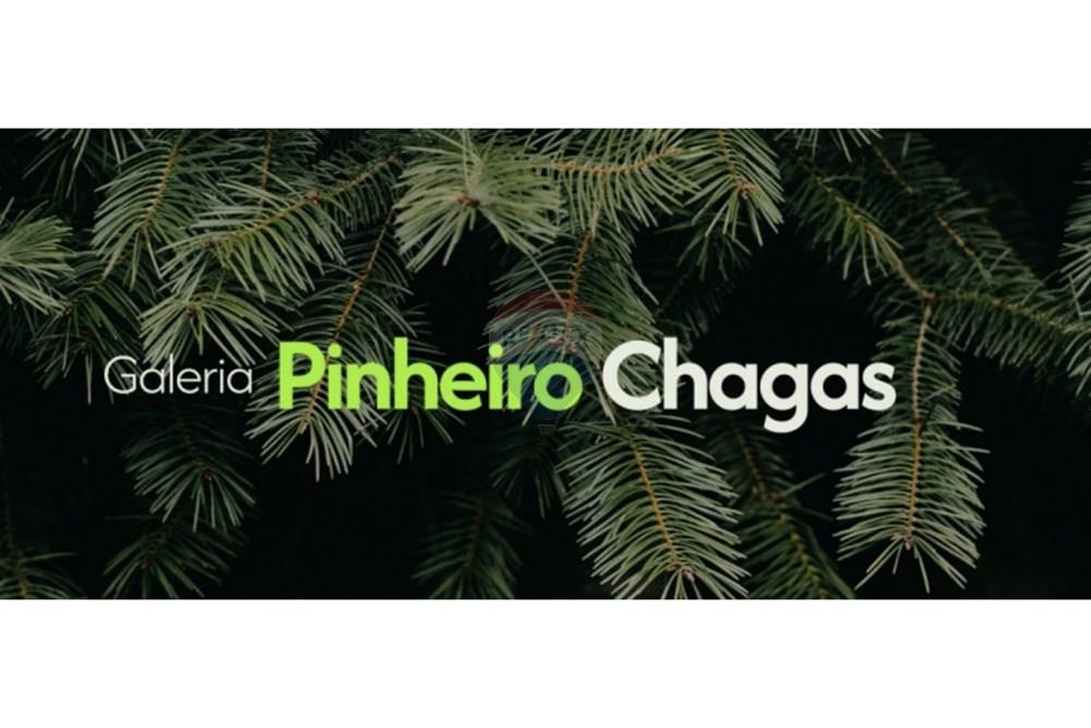 Ponto Comercial - Alugar - Anápolis , Goiás - bb9a5621-5818-419c-a99b-d3bf2ebd2379.jpg - 721991046-337