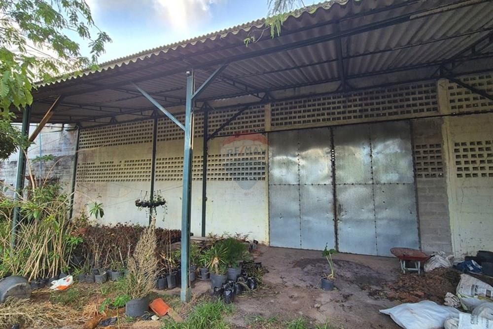 Galpão - Alugar - Pedras de Fogo , Paraíba - 20241220_162031.jpg - 722011055-40