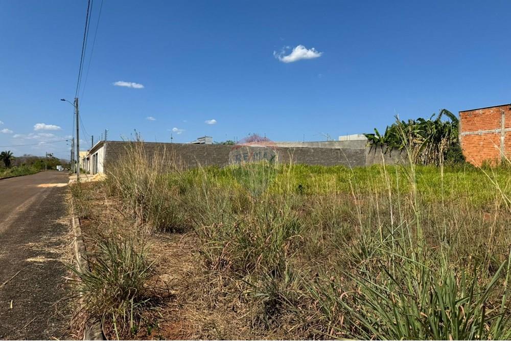 Terreno - Venda - Araguaína , Tocantins - WhatsApp Image 2024-08-22 at 17.40.40 (1).jpeg - 720991002-163